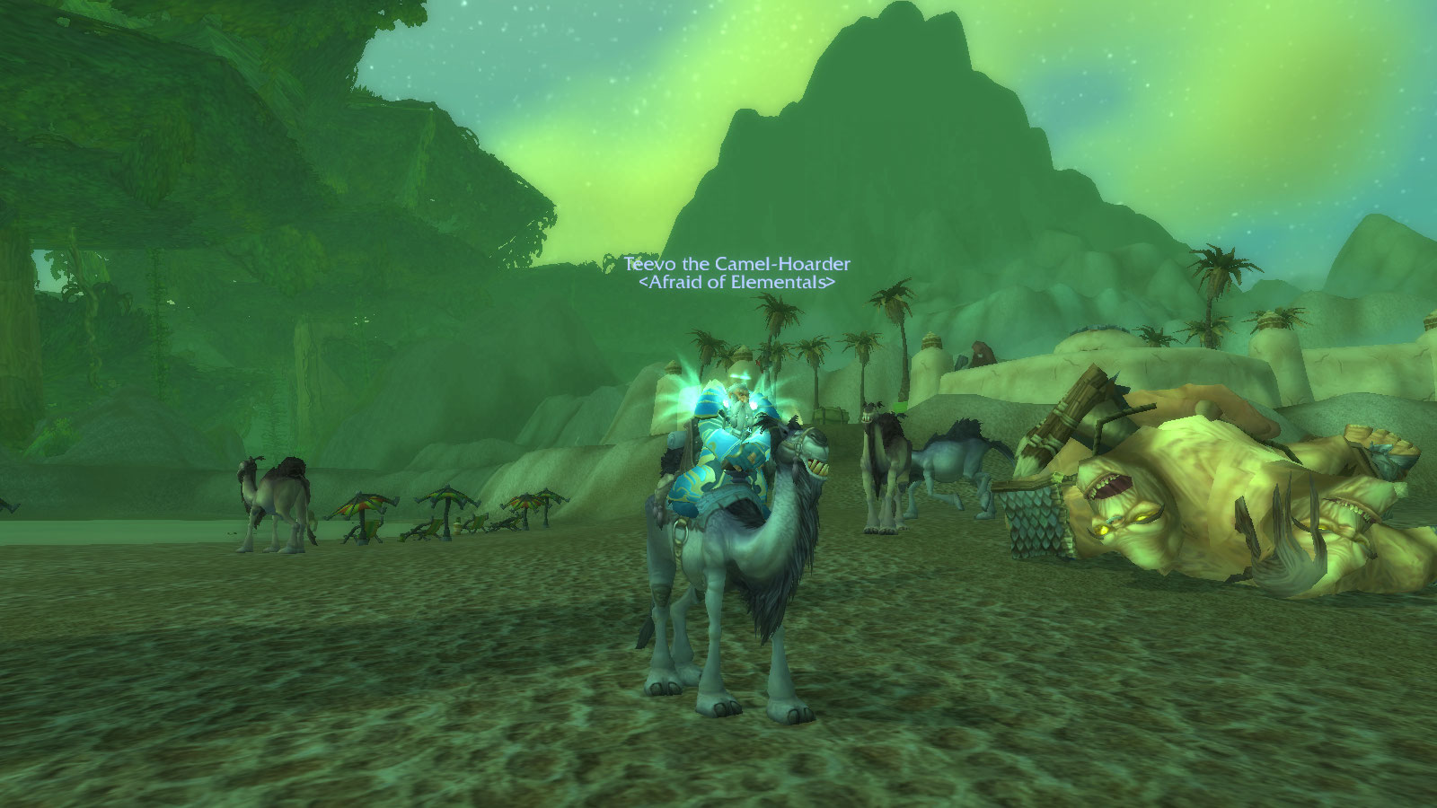camel-hoarder 3.jpg