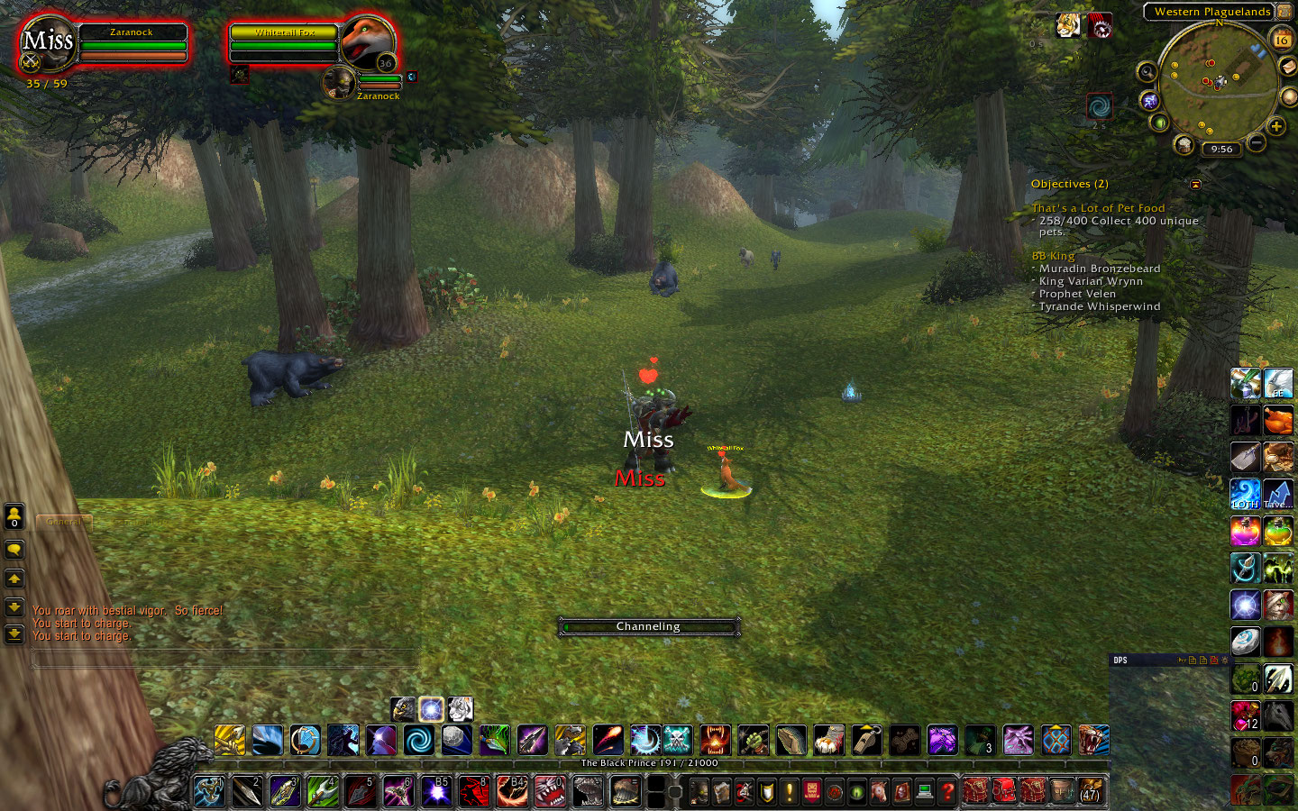 The tame, right after I catch up to him. Notice that he's sitting quite attentively while I impress my will upon him. He moved around quite a bit, and between him and the Scarlet NPCs that were Foxhunting it was actually a bit difficult to grab him. But I soon secure my new friend.