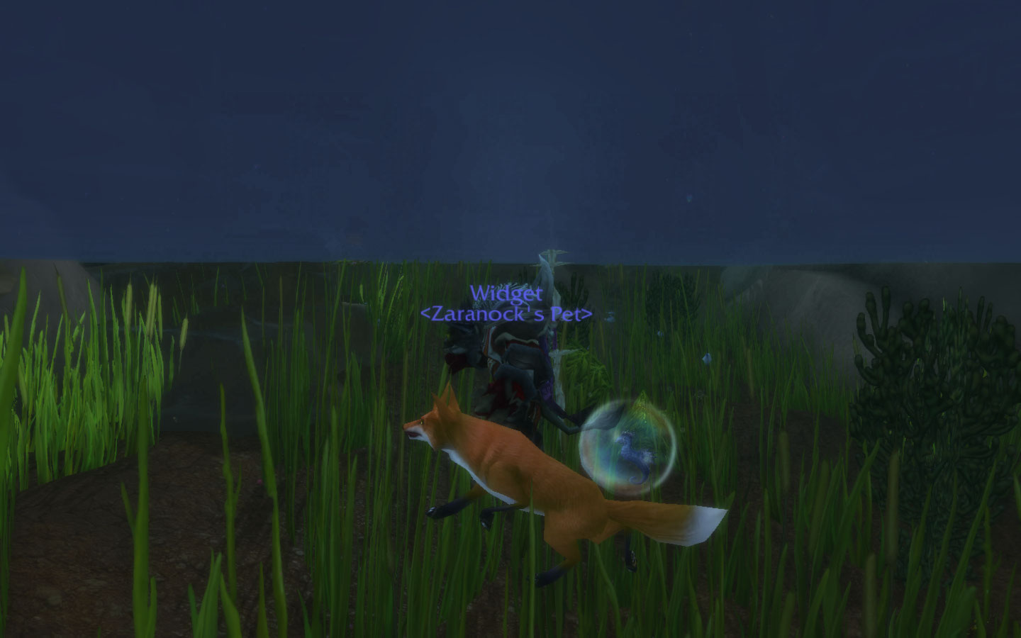 He does a classic dogpaddle while swimming, and looks pretty good while doing it. Legs are a bit spindly in the water, though!