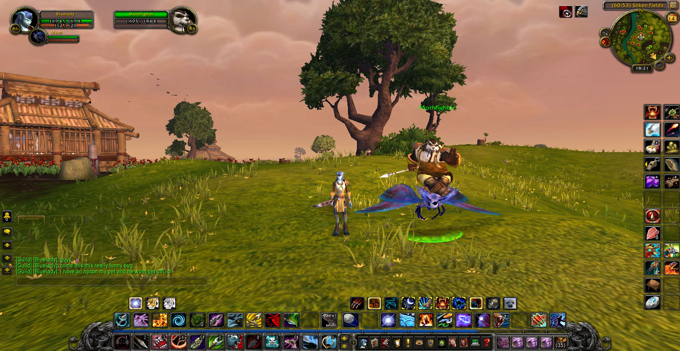 pet glitch.jpg
