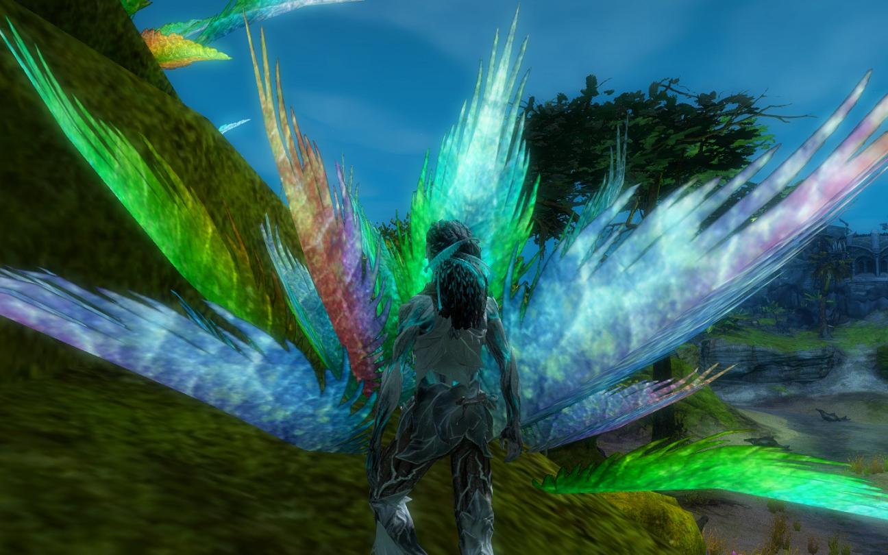 Rainbow Fern.jpg