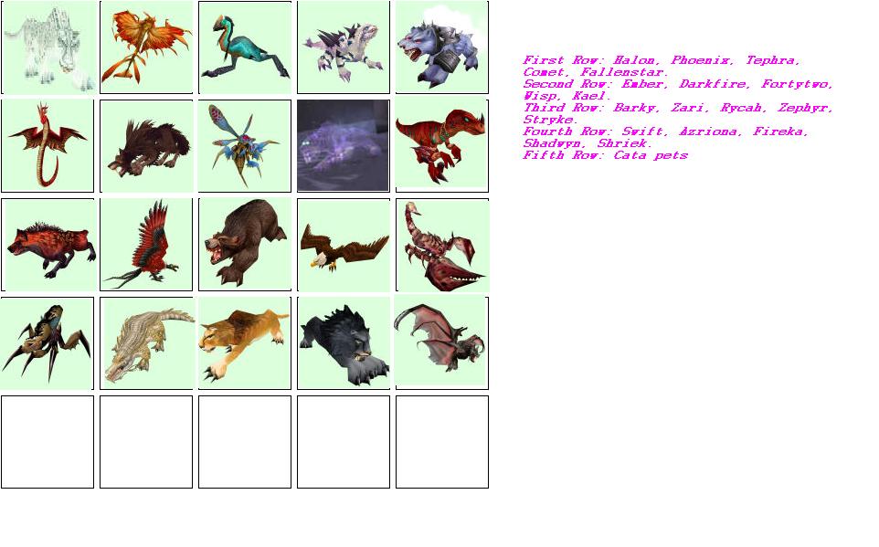 Tera's Pets.JPG