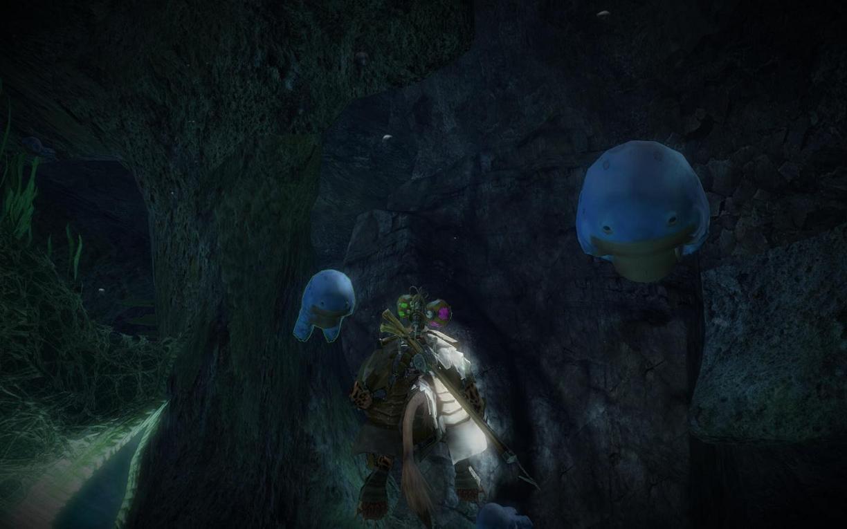 Quaggan Calves Resized.jpg