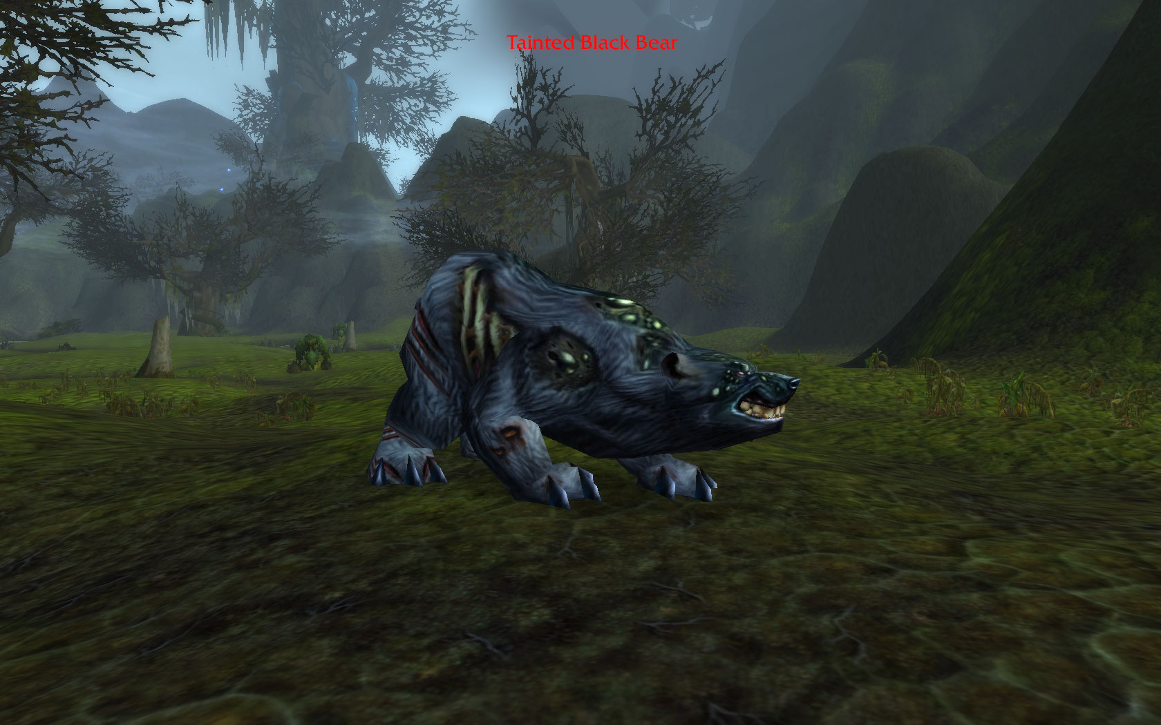 Tainted Black Bear.jpg