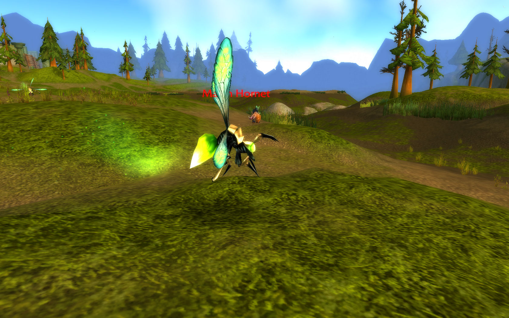 Marsh Hornet.jpg