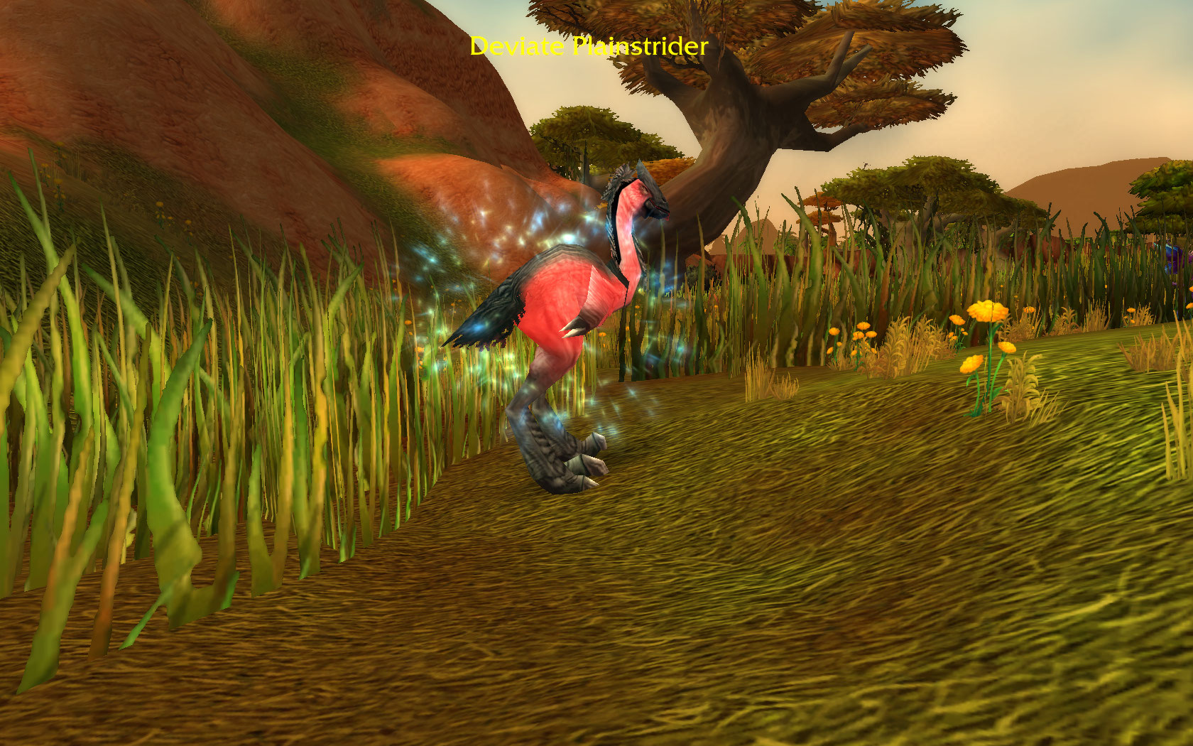 Deviate Plainstrider.jpg