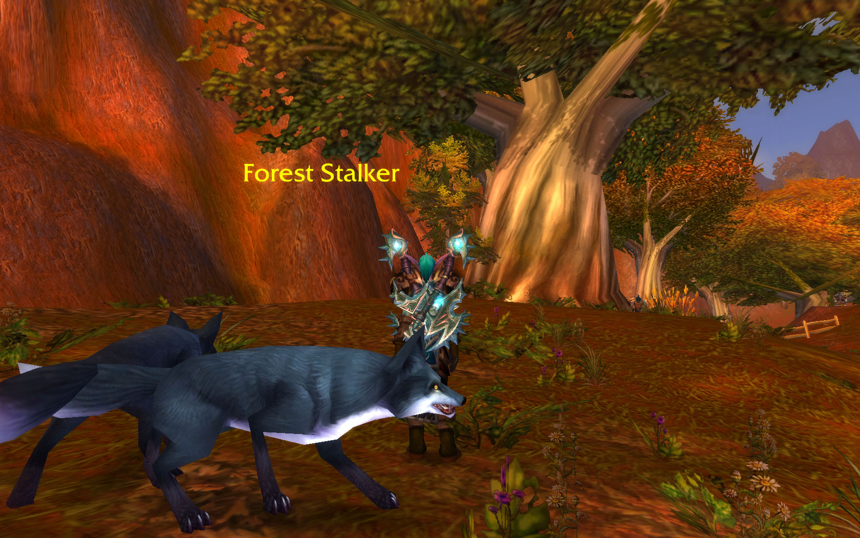 Black foxes.jpg
