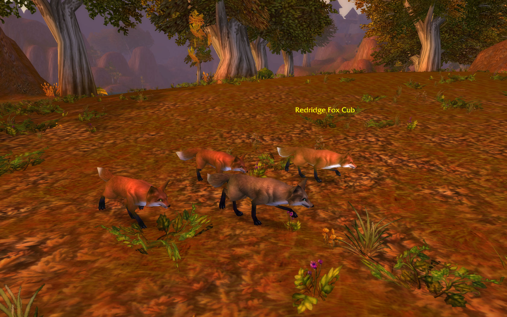 Fox Family.jpg
