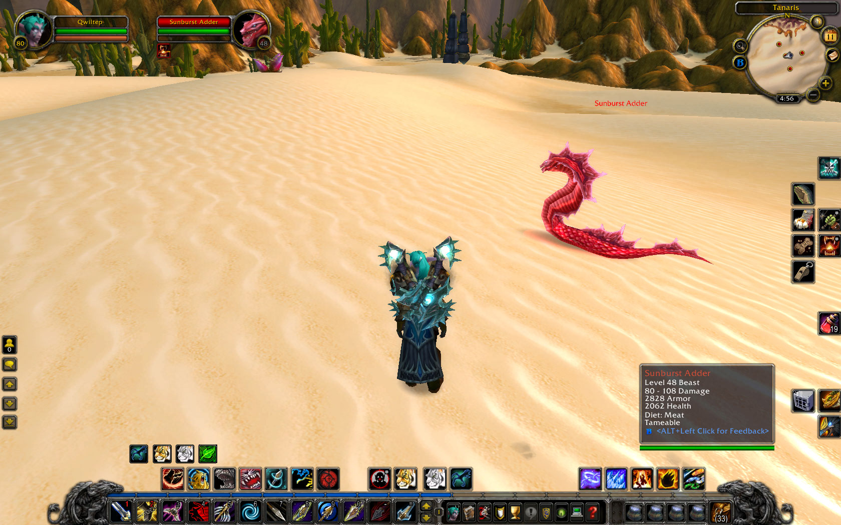 Sunburst Adder.jpg