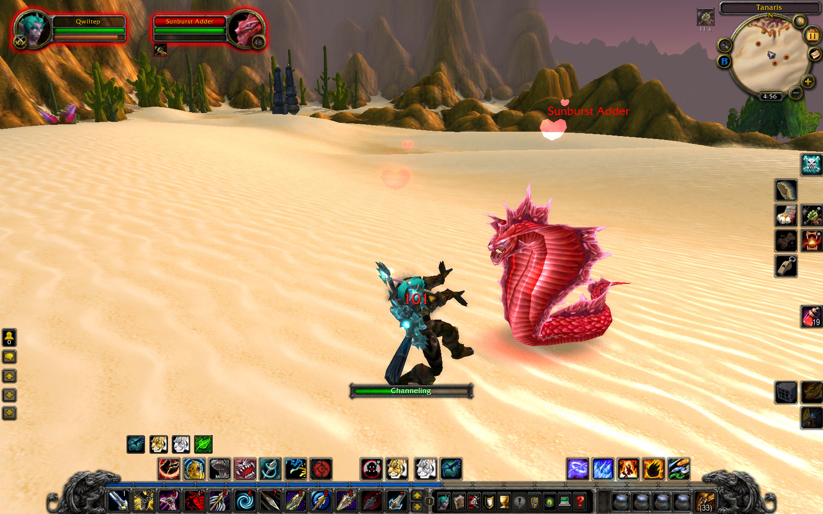 Sunburst Adder taming.jpg