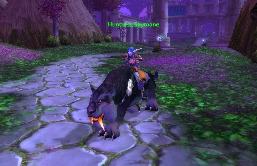 Ridingtiger Black.jpg