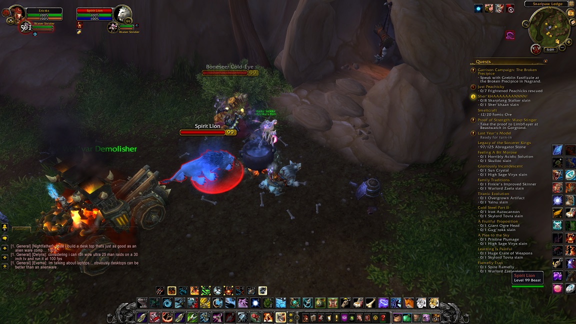 Picture of spirit lion