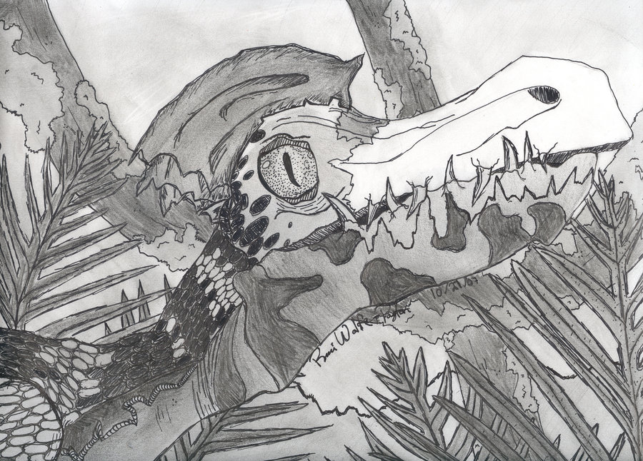Raptor