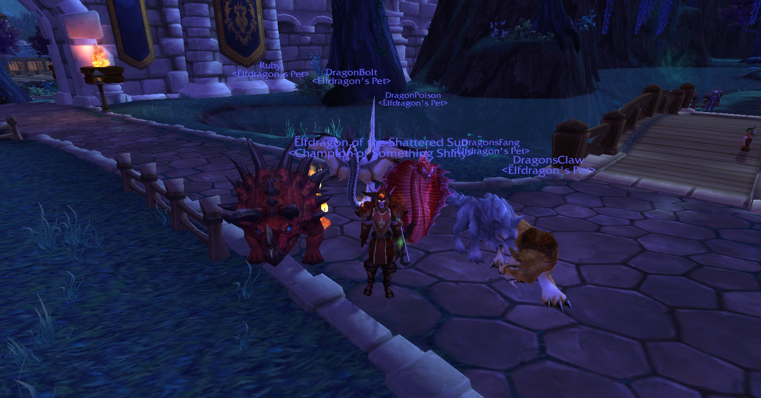 Elfdragon and her team