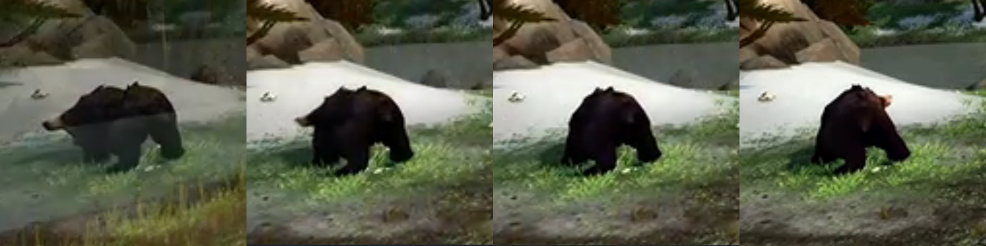 Bear.jpg