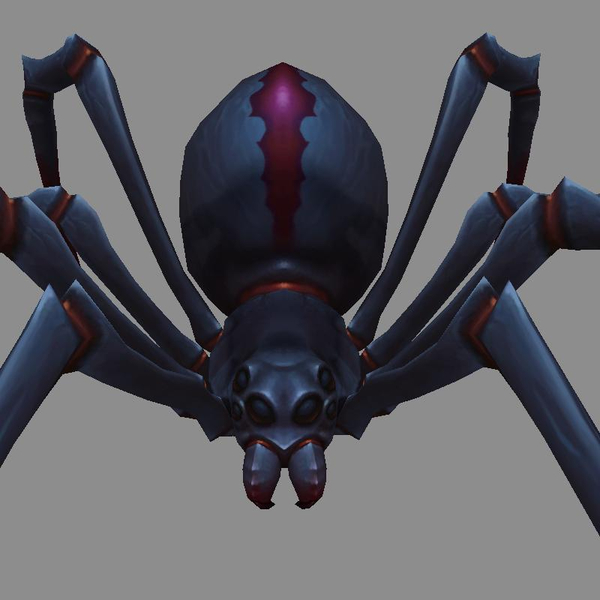 spider2-nosaddle2.jpg