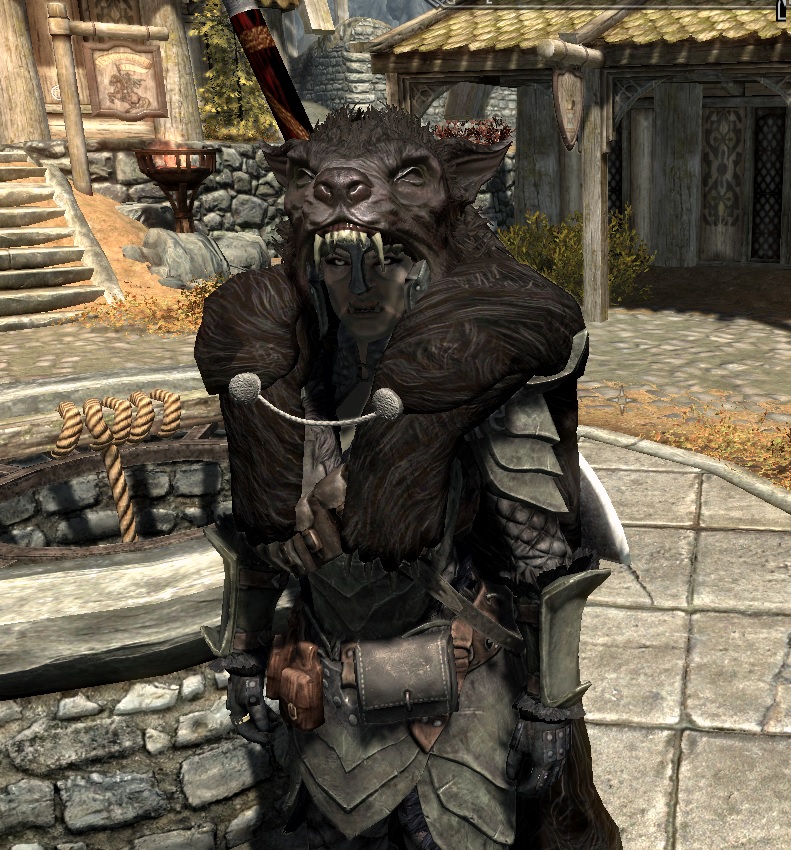 Mantle of the Silver Hand.jpg