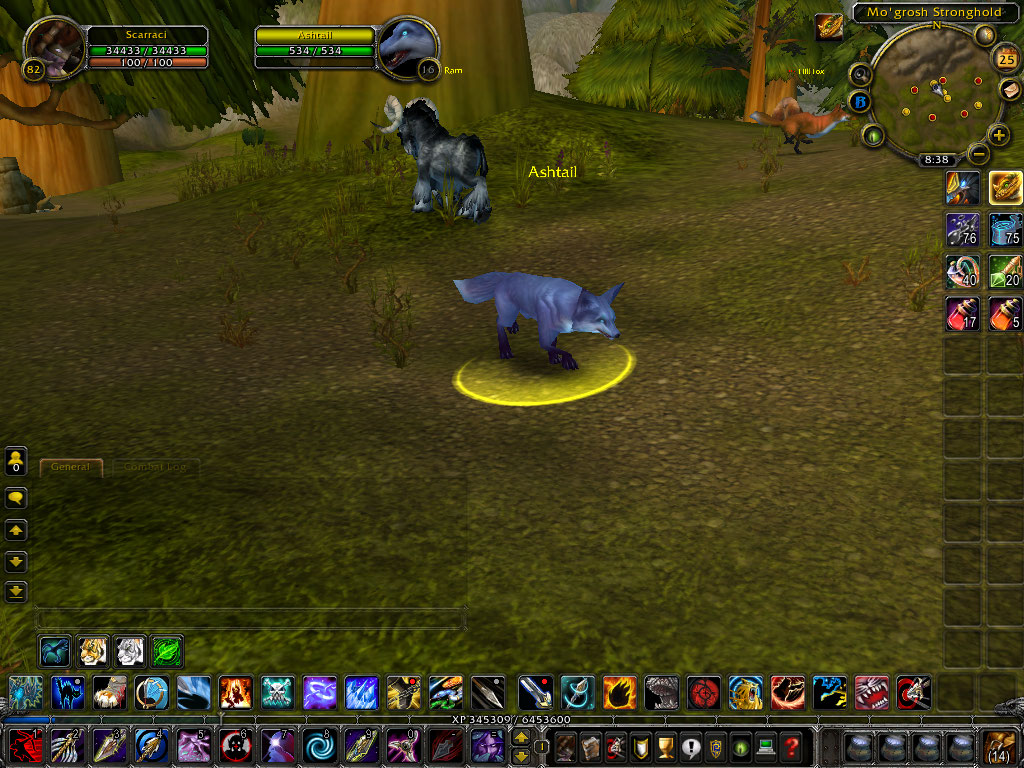 WoWScrnShot_072510_113907.jpg