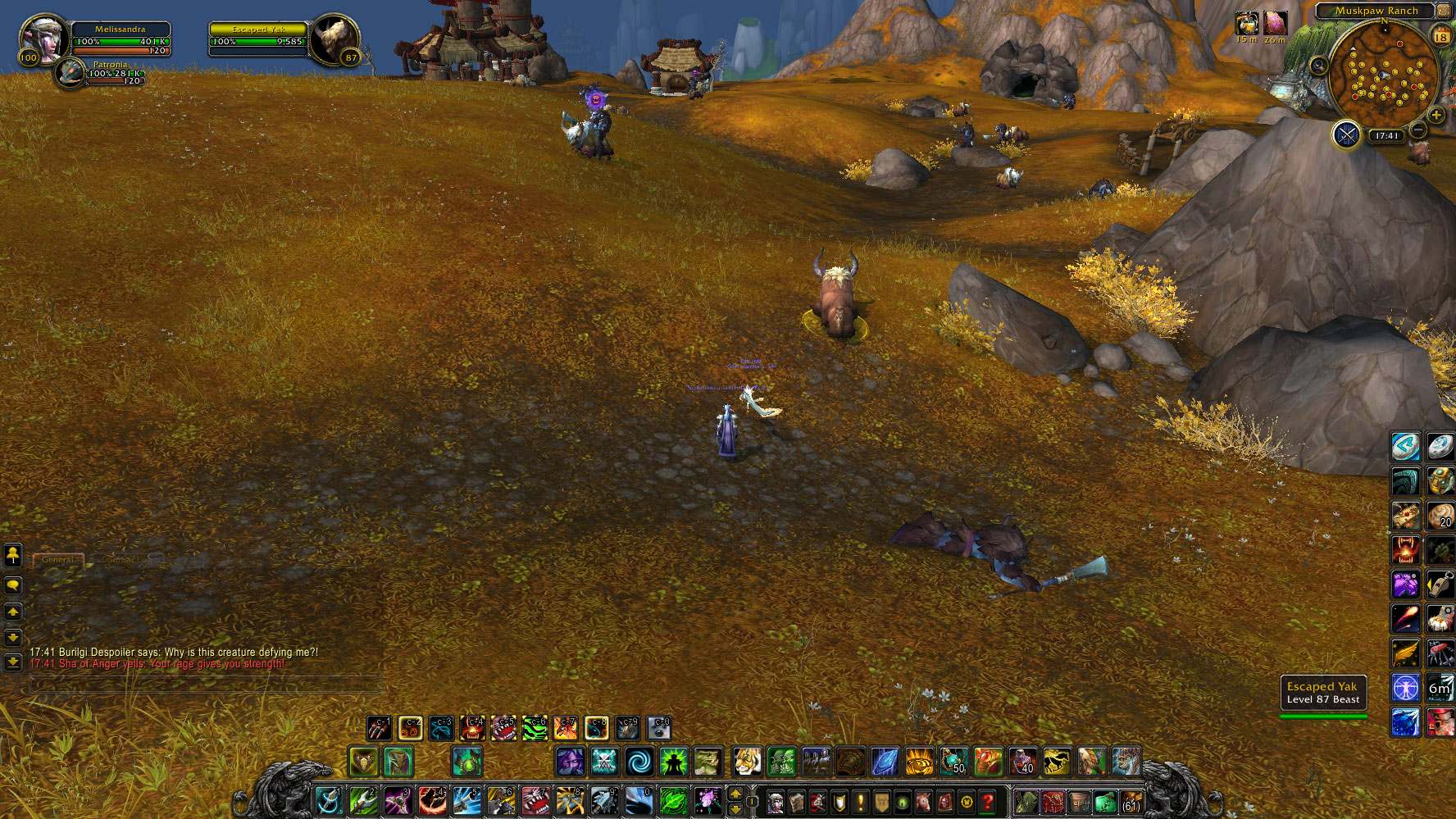 WoWScrnShot_061816_174110.jpg