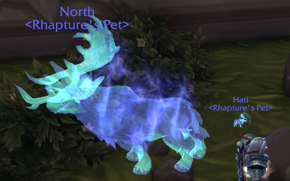 Tiny Hati.jpg