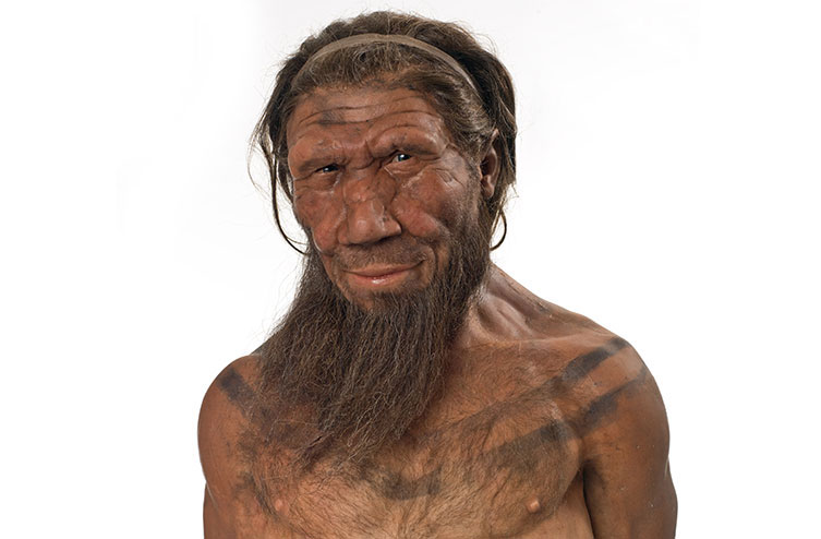 kennis-neanderthal-model.jpg