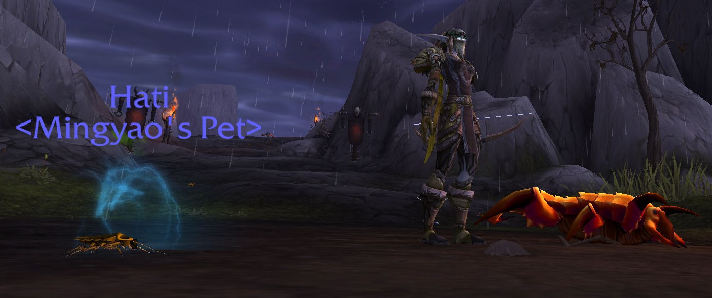 hati transmog.jpg