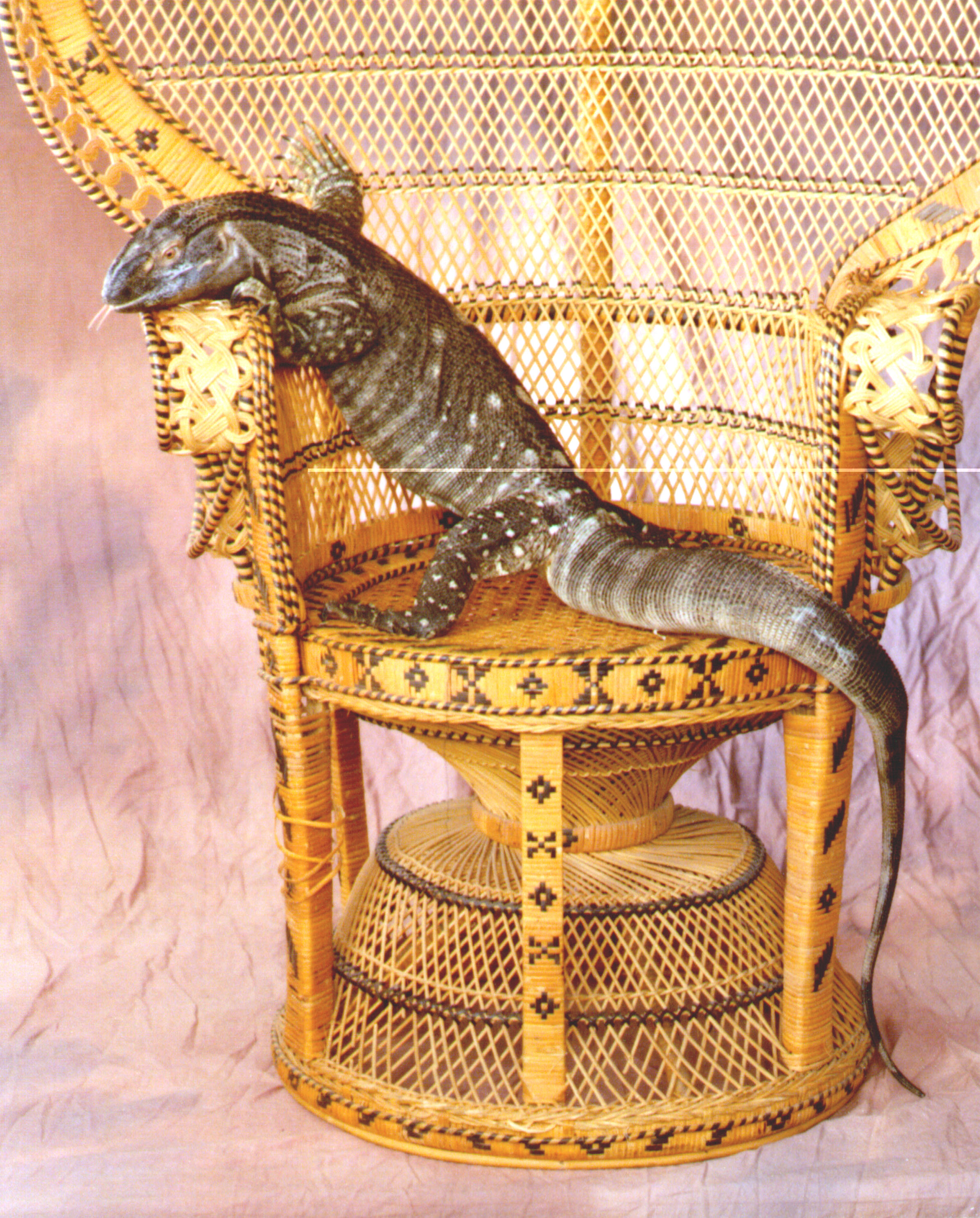 He does consent to one good picture, though ...