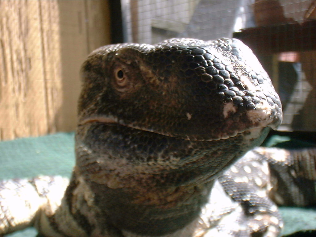 Gabriel, a truly handsome fellow.