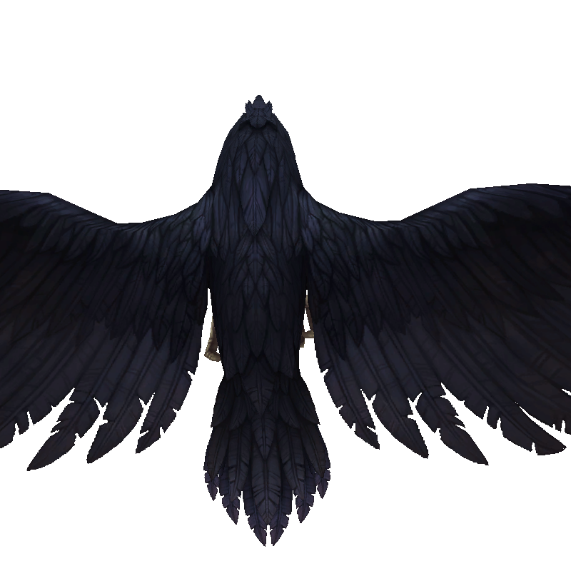 raven2_black-fixed.png