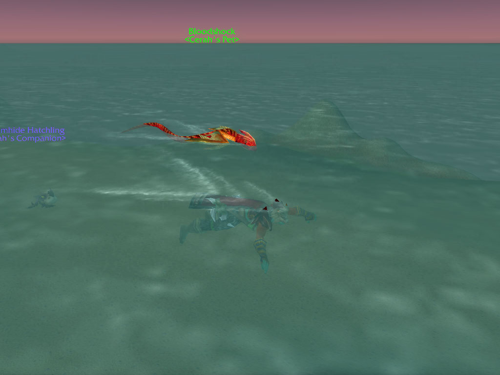 Swimming.jpg