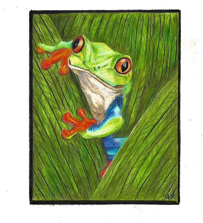 treefrog.png