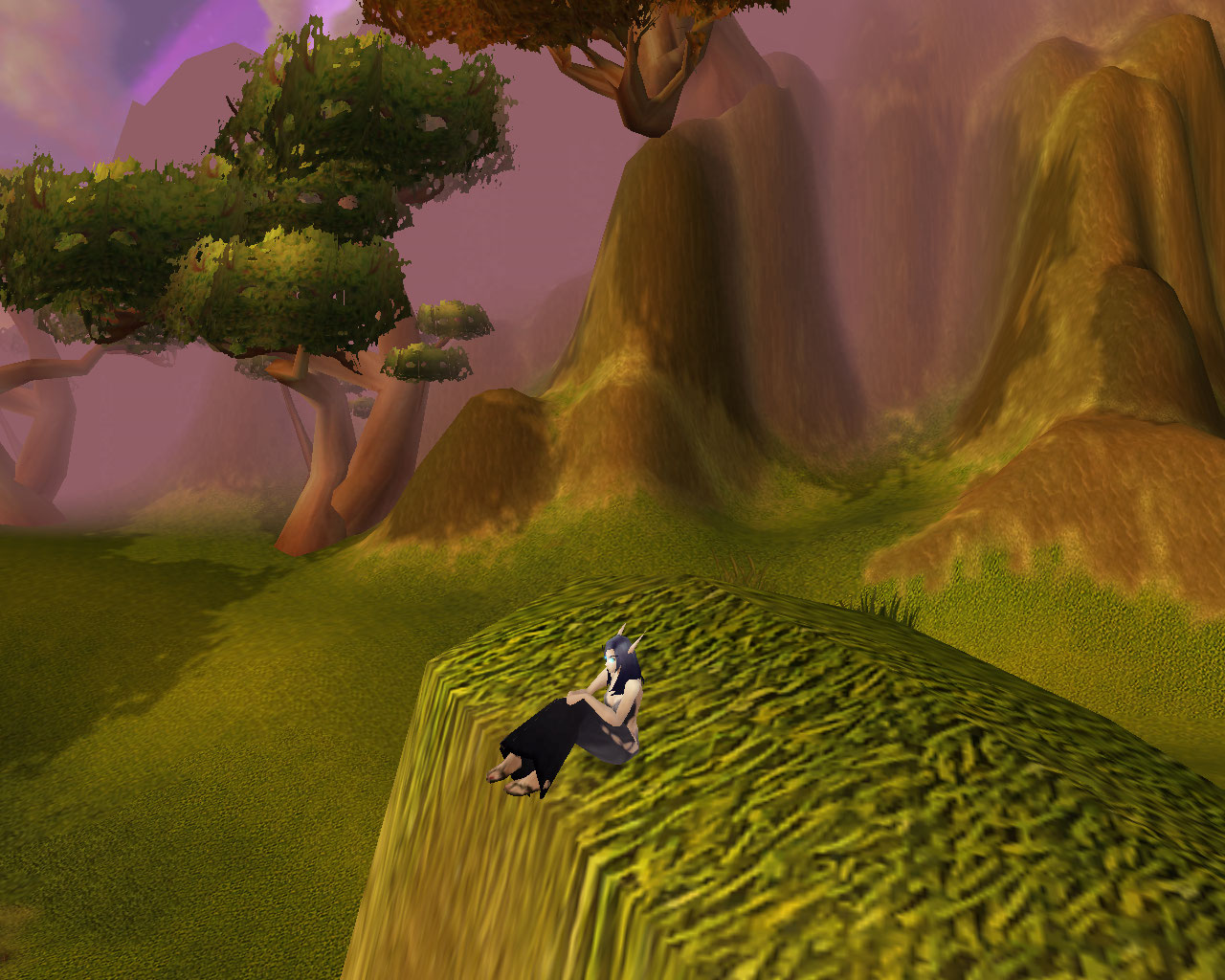 Me sat in Nagrand, can't remember the char name.