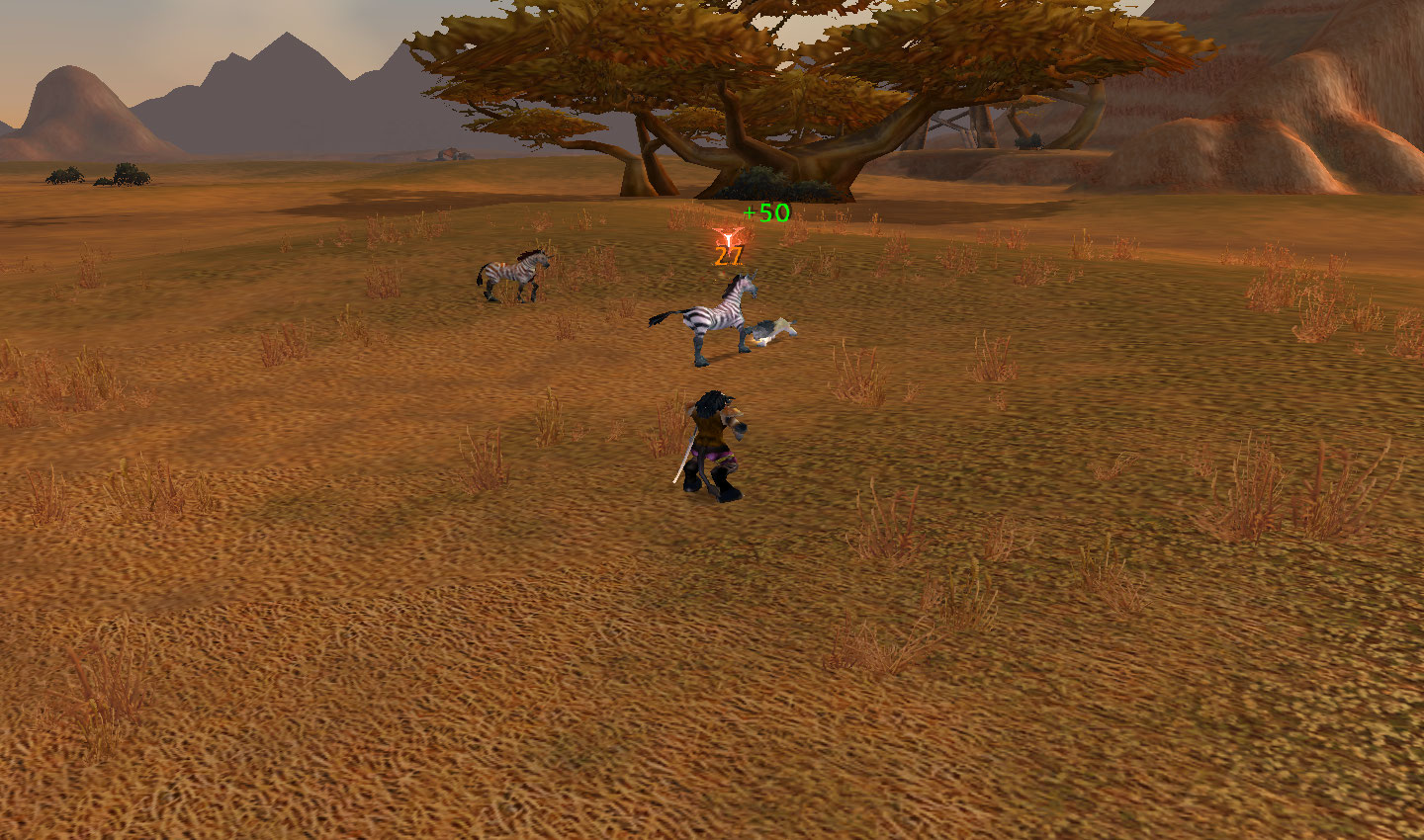 My lion's accidentally attacking that rare Zhevra in the barrens...Swifthoof is his name I think?
