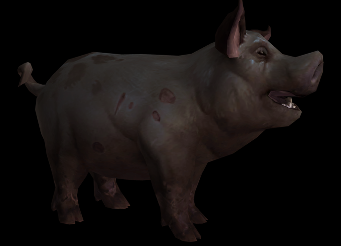 Pig.png