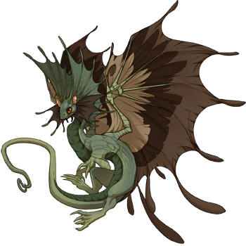 brown dragon 4.png