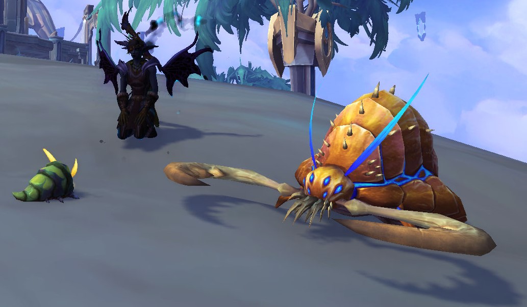 gorm pet.jpg