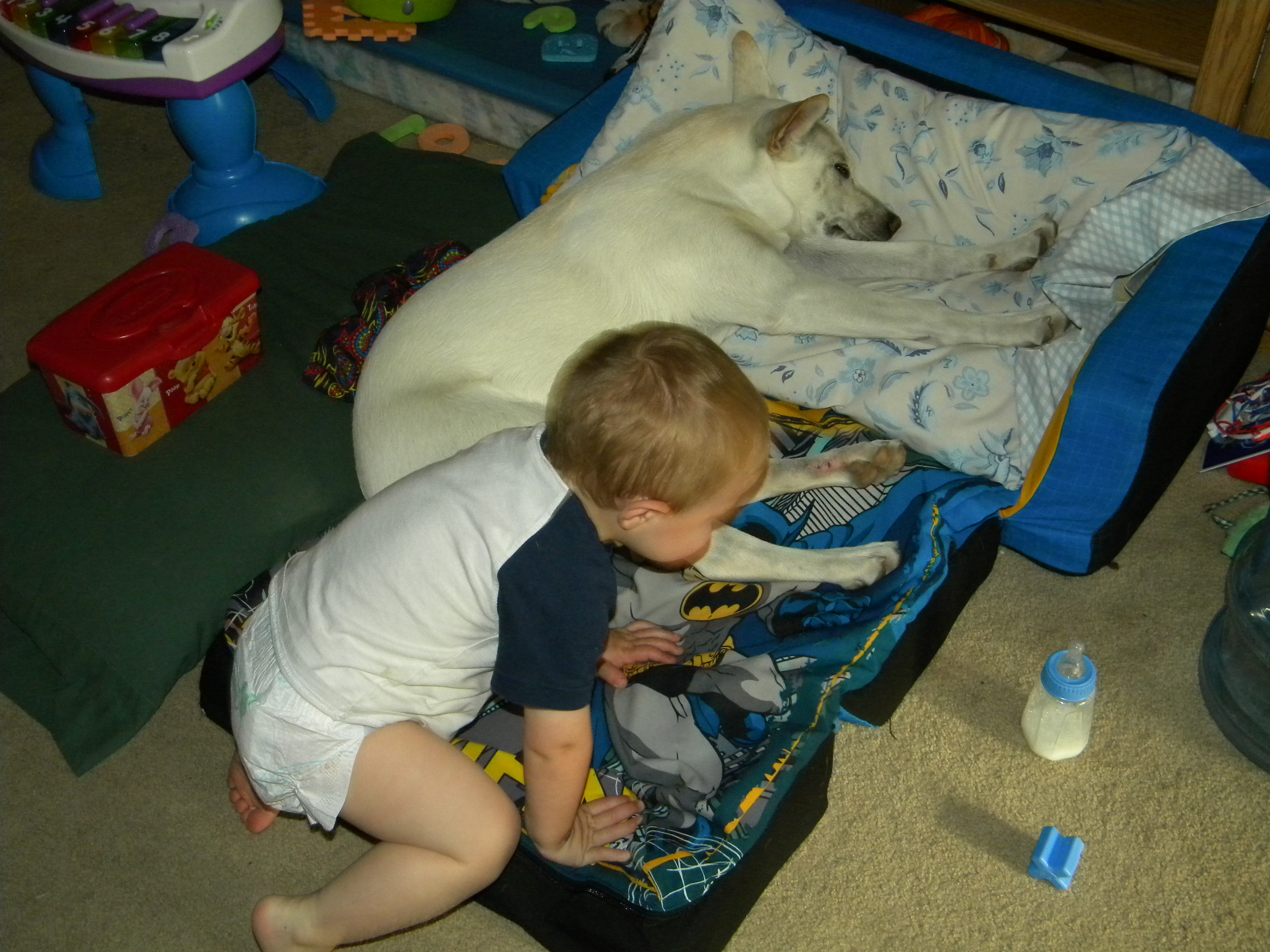 cy and winter on mini couch.JPG
