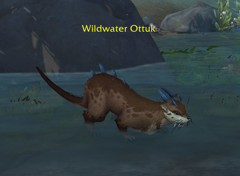 Ottuk.png