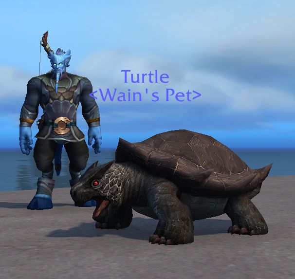 TurtleBlack.jpg