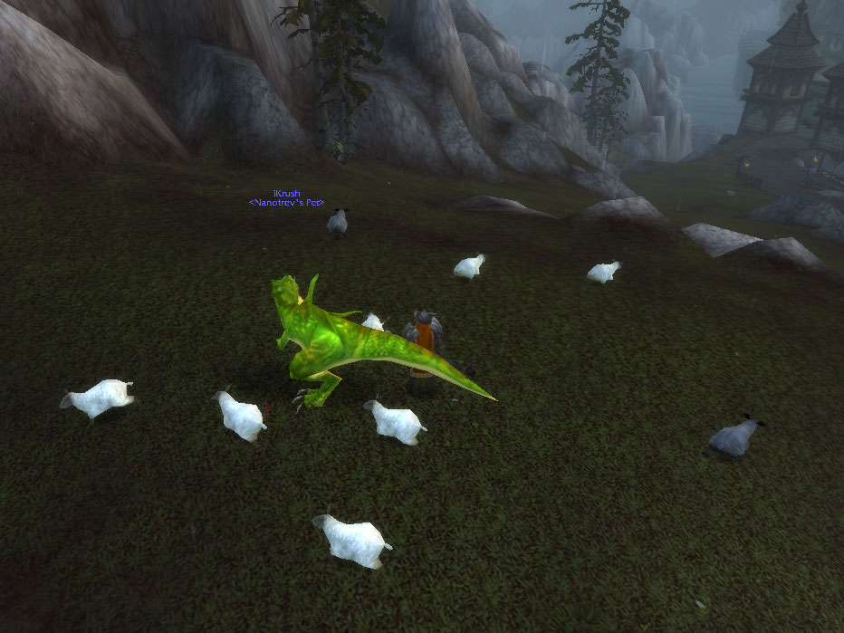 iKrush chasing sheep...