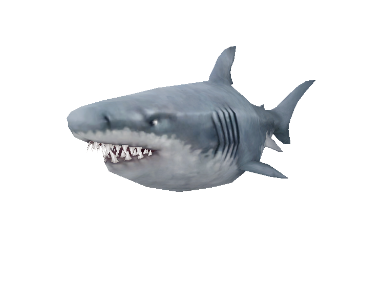 toothed shark.png