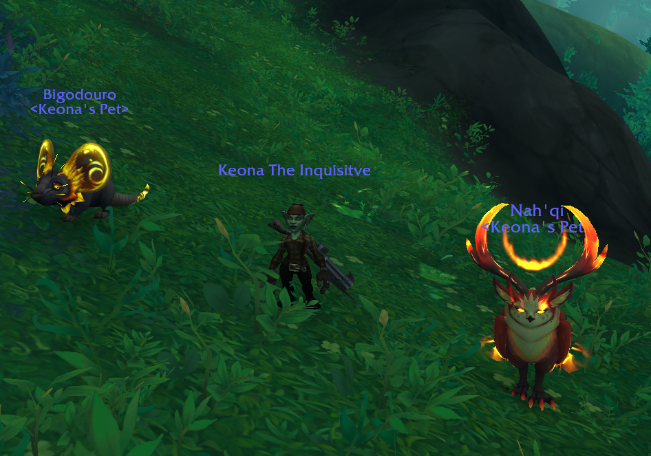 Nah'qi screenshot.png