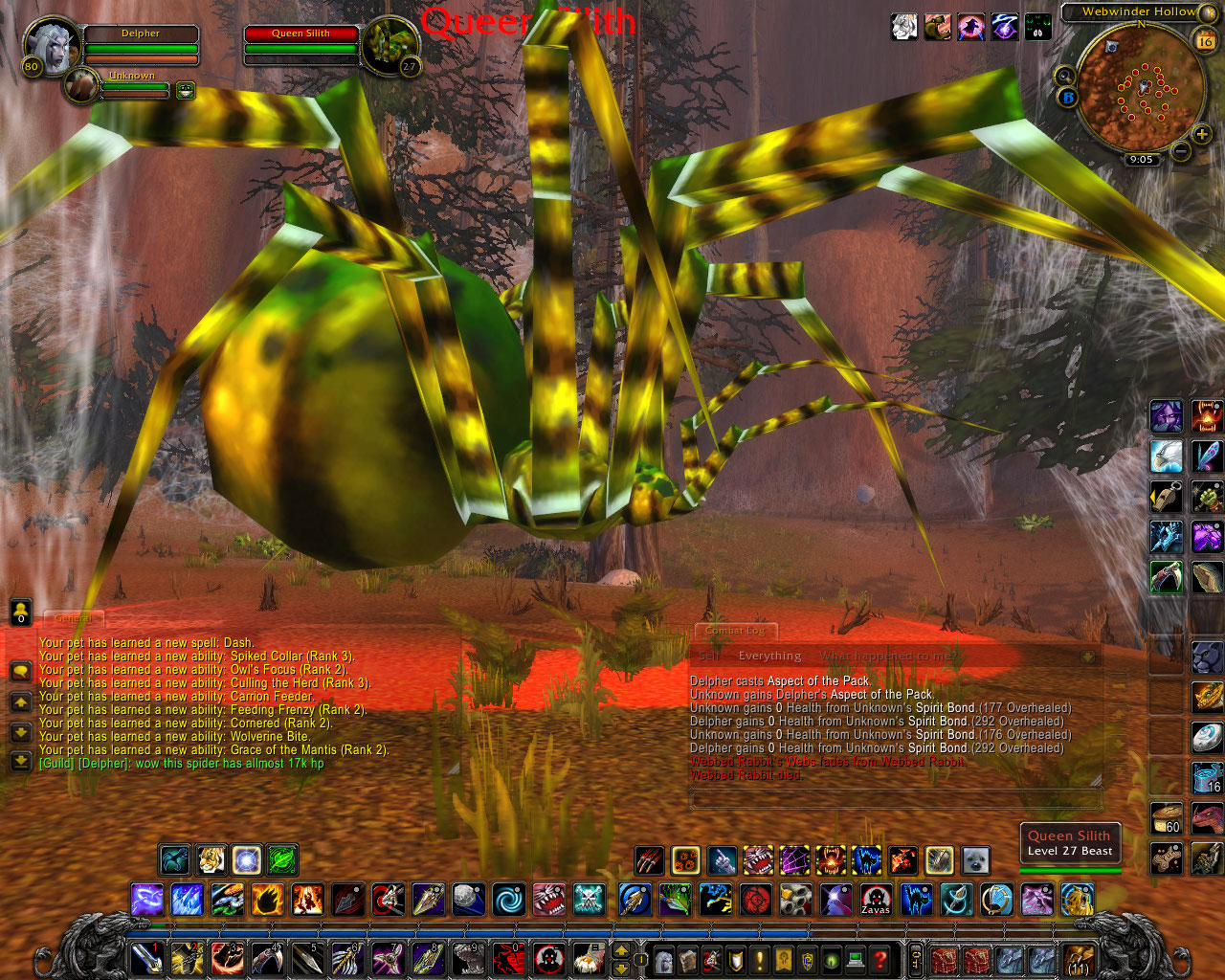 close up/I love giant spiders