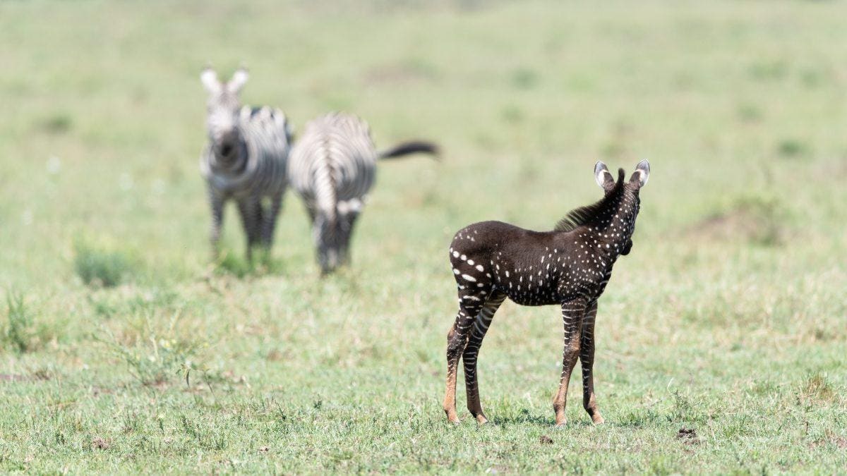 Photo courtesy of Forbes.com and photographer Frank Liu.