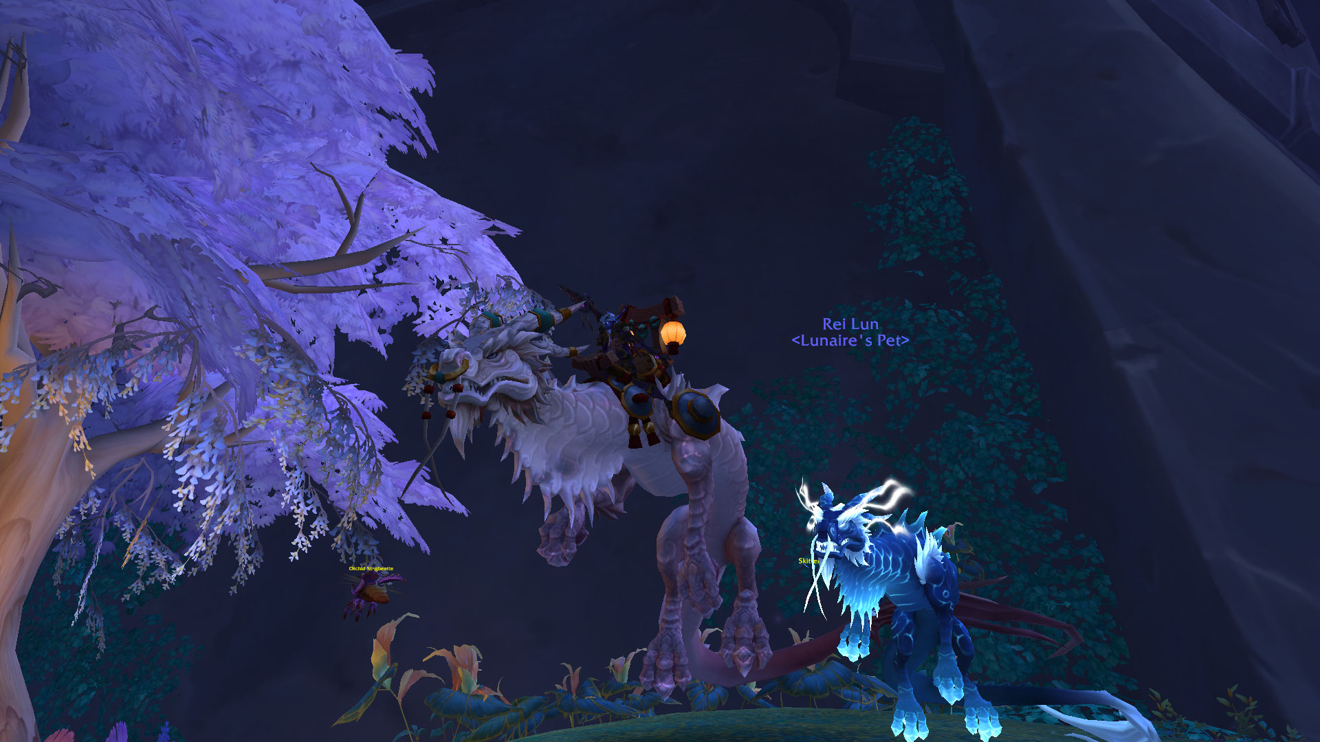 Proof that I did indeed tame Rei Lun, hehe.