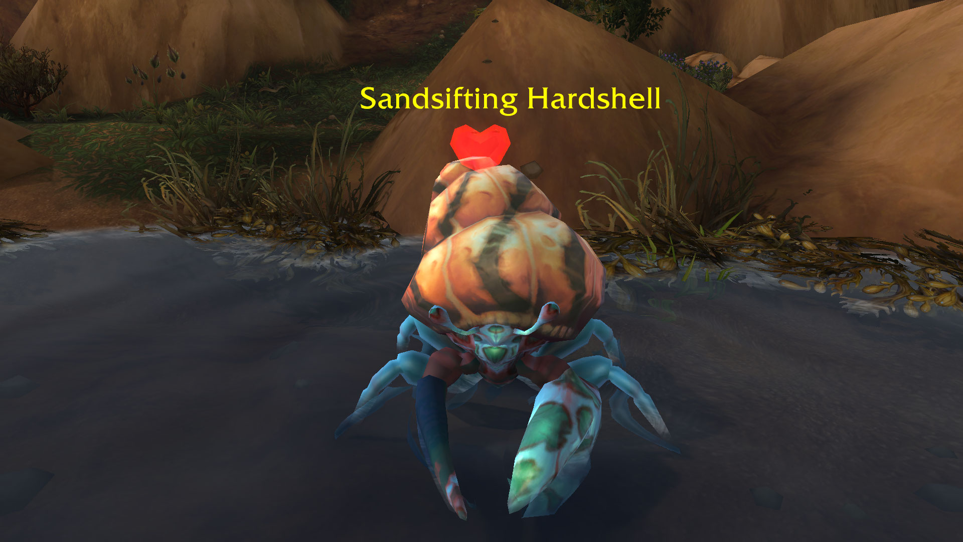 Mottled blue skin on hermit crab. Edit: New. Thanks Val