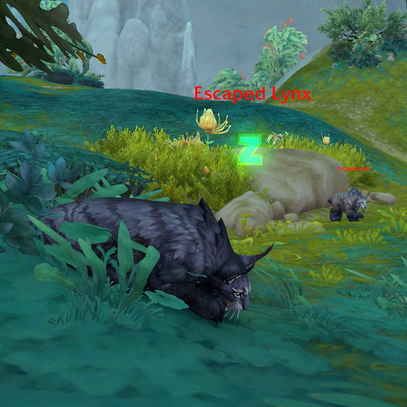 Escaped Lynxes.jpg