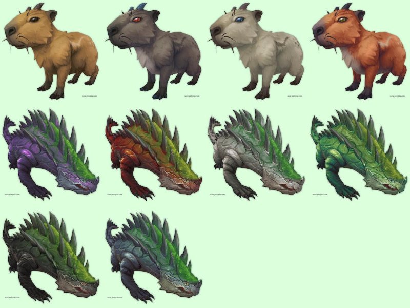 capybara and amazard montage.jpg