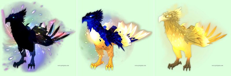 Phoenix Light & Dark Montage.jpg