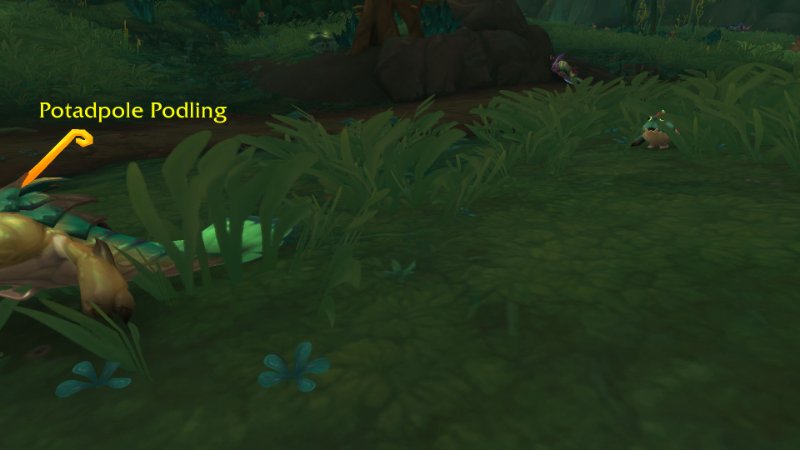 Potadpole with a baby trailing behind